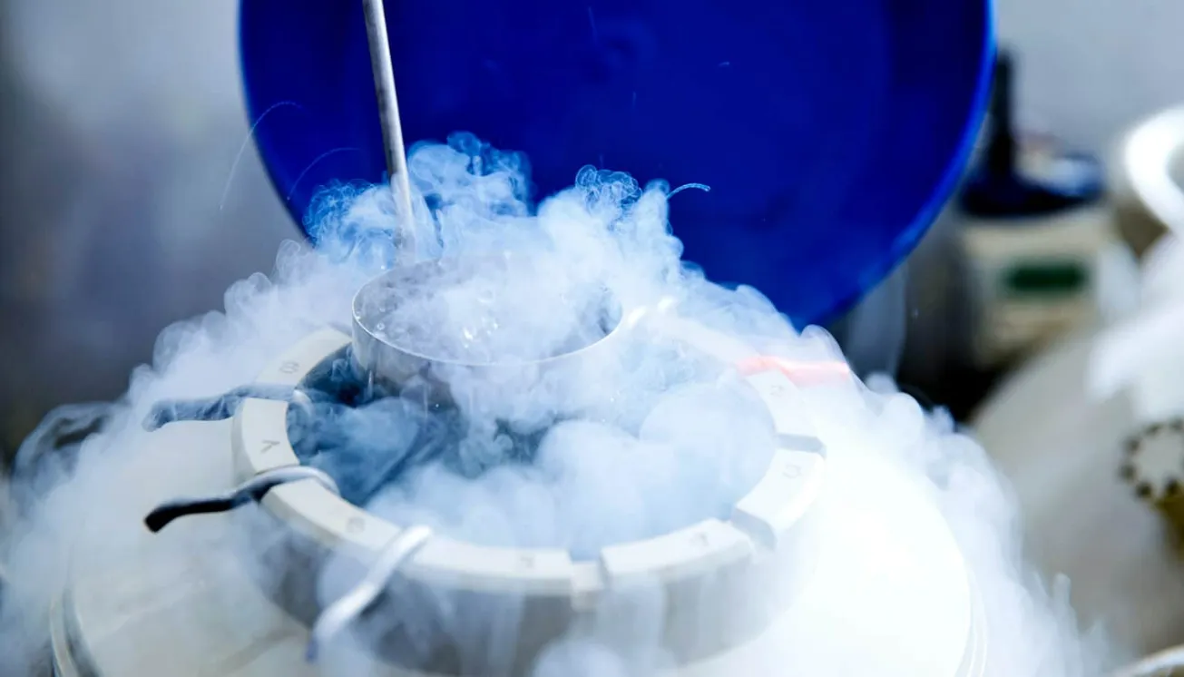 Embryo Freezing 