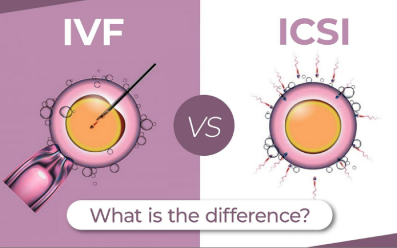 IVF vs ICSI eraya fertility